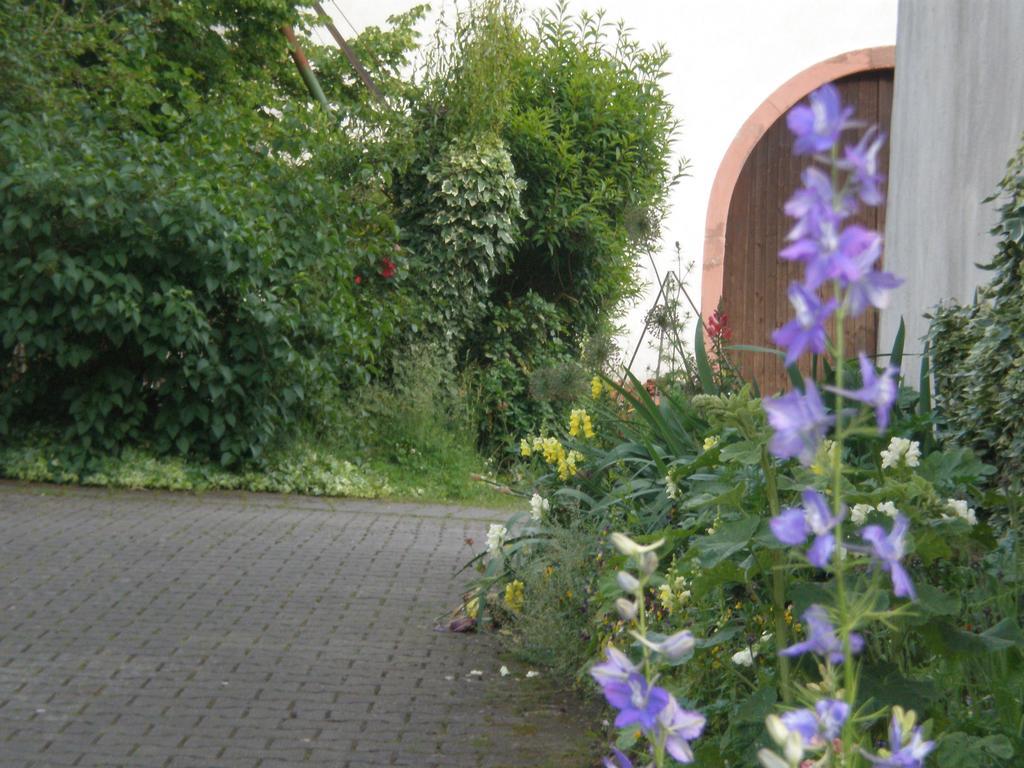 Ferienwohnung Haus Gintz Blieskastel Exterior photo